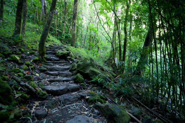 Campervans for Enthusiasts Maui Camper and Van Rentals Rent Campers